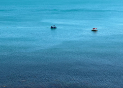 В день флориста в Анапе солнечно