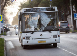 Спрос на автобусные билеты из Москвы в Анапу стал ажиотажным