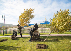 Анапа зацветет: на курорте высадят более тысячи новых растений