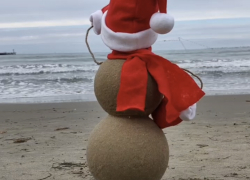 Песковик АРТюша из Анапы отправился покорять Москву