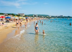 Есть ли акулы в Анапе: правда или очередной миф