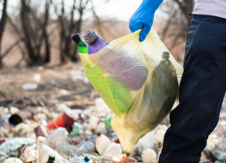  Пластик в Анапе: чем опасен и как утилизировать