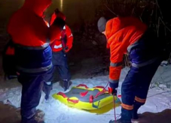 В Анапе спасли лебедя, попавшего в ледяной плен и рыболовные сети