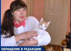 Женщина с 40 кошками, живущая под Анапой, просит помощи для себя и своих питомцев
