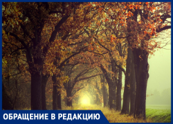 Любовь Павлова просит встать на защиту дубов, растущих между Анапой и Новороссийском