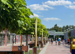 В День пяти случайных встреч в Анапе солнечно и жарко