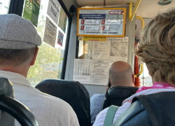 «Бумаги нет»: начальник транспортного отдела Мичурин прокатился по Анапе на автобусе