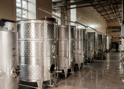 Рассекретили: 800 млн рублей в улиточную ферму и винзавод в Анапе вложит бизнесмен из Норильска