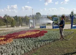 В Анапе усилили уход за зелёными насаждениями из-за жары