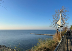 День защиты чёрных котов и кошек в Анапе будет дождливым