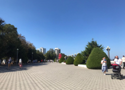 Во Всемирный день риса в Анапе солнечно