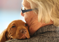 Правительство пообещало увеличить пенсии... анапчанам тоже