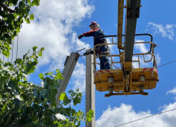 В Анапе обновили 12 километров линий электропередачи