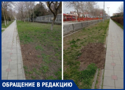 Анапчанка пожаловалась, что возле ЛОК "Витязь" убрали все скамейки и урны