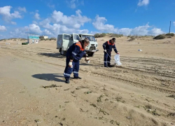 В Анапе продолжают очистку побережья от мазута