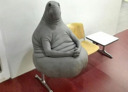 Рядом с Анапой снимут комедию про Ждуна