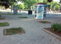 «Люди приезжают, а тут такое»: анапчанка стесняется городских клумб 