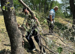 24 июня в Пятихатках под Анапой пройдёт очередной субботник