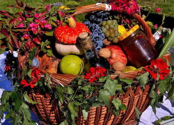 Путин потребовал добавить в потребительскую корзину больше рыбы и овощей