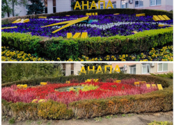 Время не остановить: цветочные часы в Анапе могут исчезнуть 