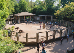 Деятельность зоопарка в Анапе приостановлена по решению суда