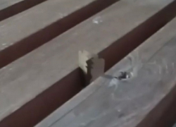 Не детская шалость: в Супсехе ребятня развлекается с лезвием