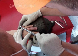 14-летний анапчанин не смог снять кольцо с пальца: пришлось вызывать спасателей