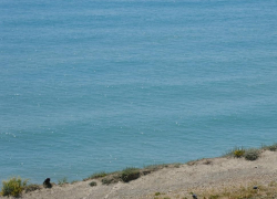 В Международный день шутки в Анапе ожидается дождь