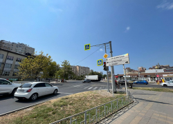 В День выгула черепахи в Анапу вернётся сильная жара