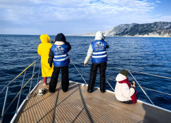 В Анапе откроют стационар для экстренной помощи дельфинам