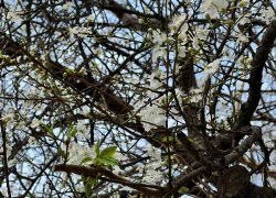 В Международный день рек в Анапе ненадолго выглянет солнце