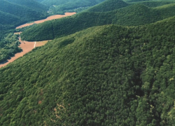 В Анапе могут увеличить число особо охраняемых природных территорий