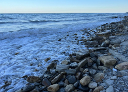 В день переучёта в Анапе жарко и солнечно