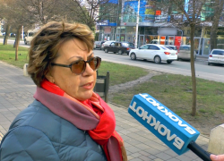 Смогут ли анапские продукты стать лучшими на Кубани?
