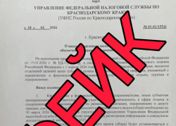 ФНС опровергла слухи о введении налога на СВО в Анапе