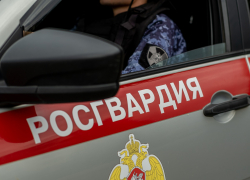 Пьяный хулиган пытался украсть алкоголь из магазина в Анапе