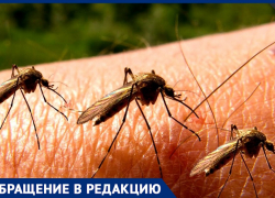 Нашествие комаров: анапчане просят власти обработать  территории