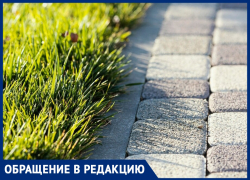Узкий тротуар и запущенный газон: анапчанка просит улучшить инфраструктуру на улице Ленина
