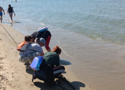 Стали известны новые результаты мониторинга пляжей в Анапе 