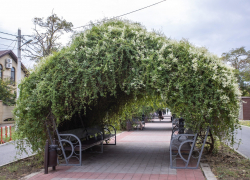 В Анапе благоустраивают аллею в честь 100-летия Роспотребнадзора