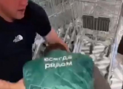 В Анапе сотрудник "Пятёрочки" избил подростка: полиция разбирается в инциденте