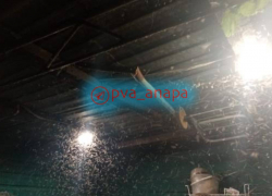 Комары атаковали жителей Витязево под Анапой