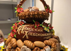 Анапские рогалики и ватрушки с творогом проверили на качество