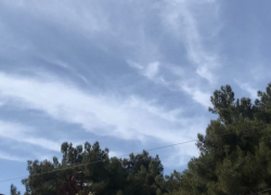 В Международный женский день в Анапе ясно