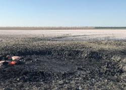 Секреты Солёного озера под Анапой: как природная грязь прославила курорт на всю страну?