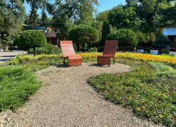 В Международный день дружбы в Анапе поднимется сильный ветер