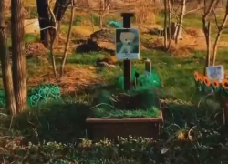 «Там люди, а здесь животные»: в Анапе обнаружили кладбище домашних питомцев