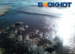 Почему море в Анапе почернело – поясняет эколог