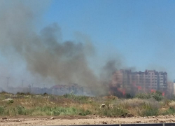 В Анапе горели 500 квадратных метров поля