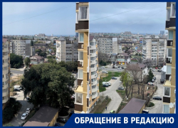 «Каждое дерево в городе нужно сохранять!»: анапчанка рассказала о варварской обрезке деревьев